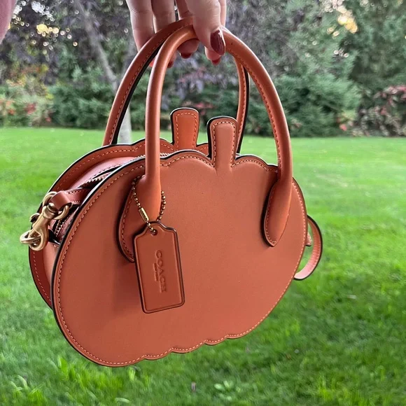 Viral coach pumpkin fall crossbody bag purse